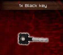 1x Black key (Google)