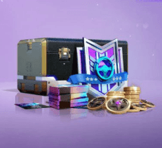 Private Training (value perks with 5 privileges) (iD)