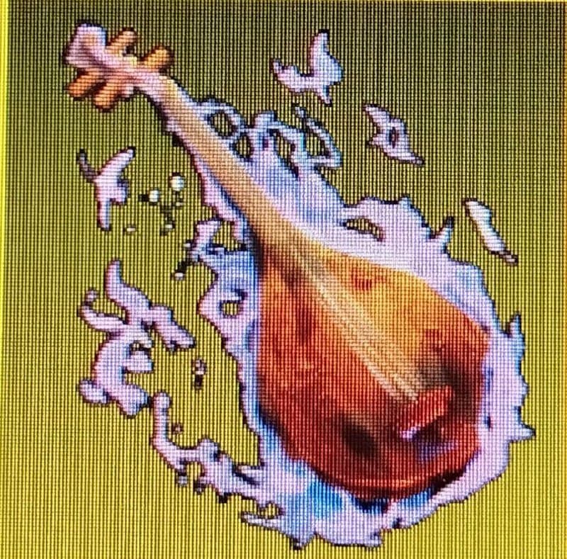 The blood of the Biva demon