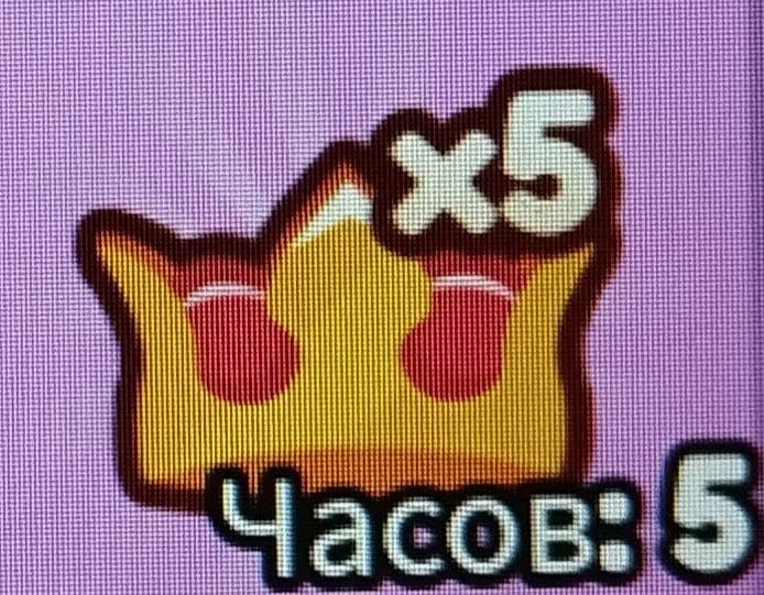 x5 kroons for 5 hours