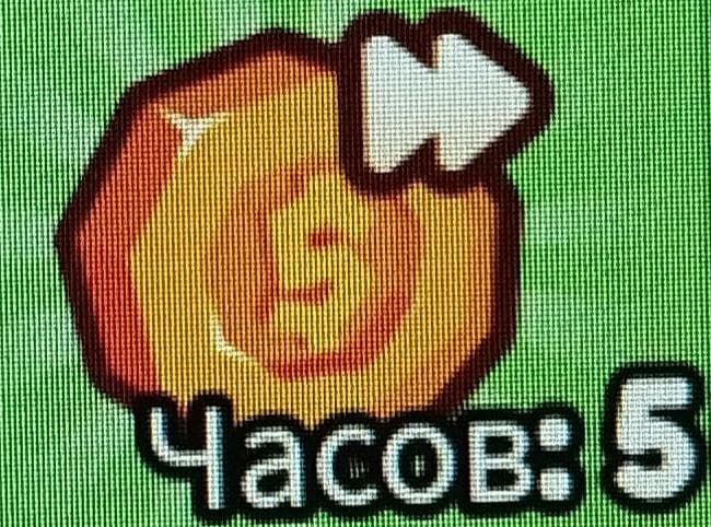 Auto Sale of 5 hours