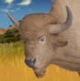 Leucistic Ancient Bison