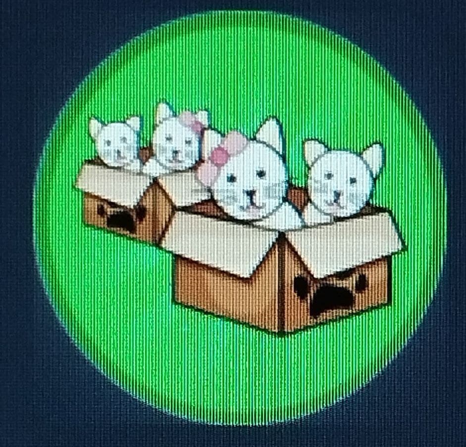 Storage of pets +150