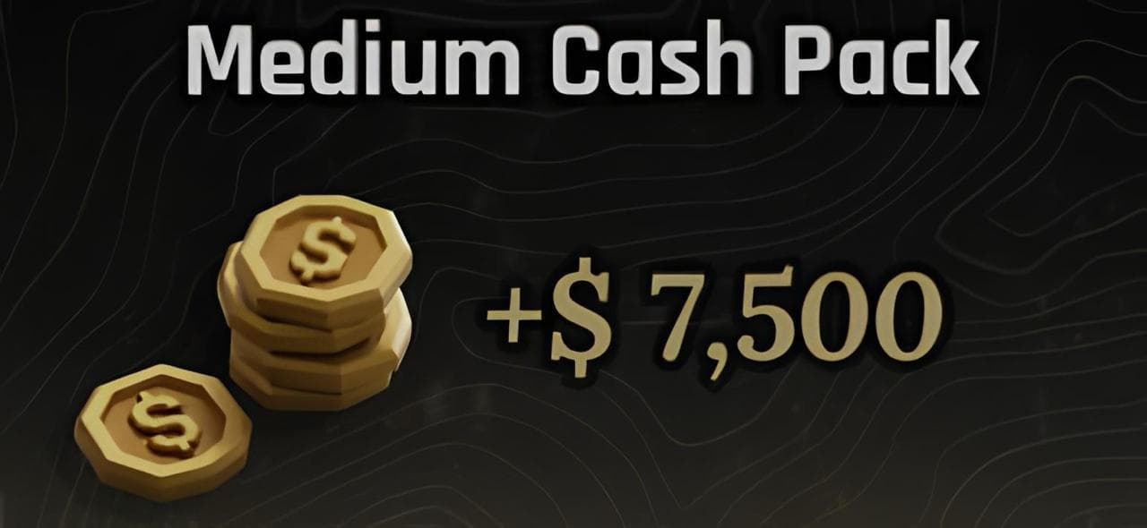 Medium Cash Pack