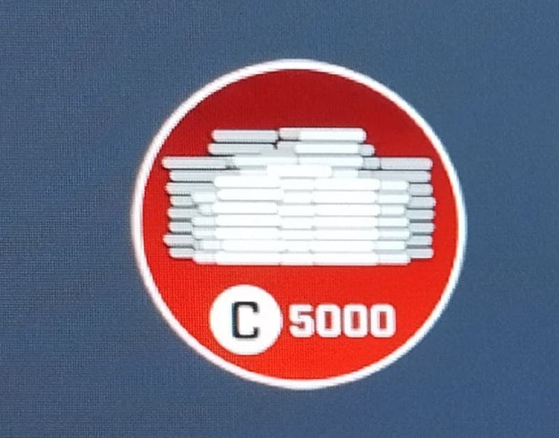 5000 loans