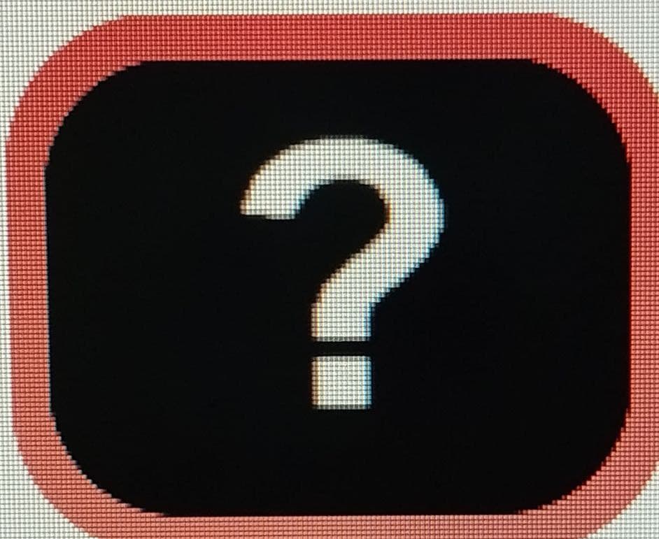 The leader of the raid