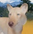 Leucistic Dire Wolf