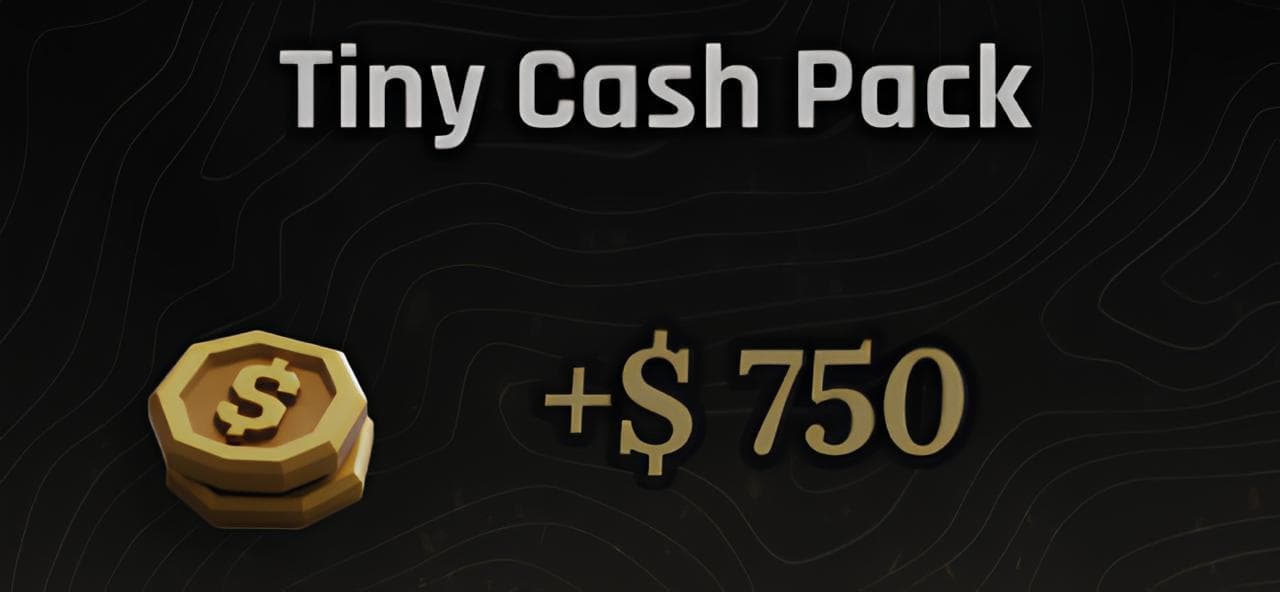 Tiny Cash Pack