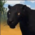 Eboni Melanistic Saber Cat