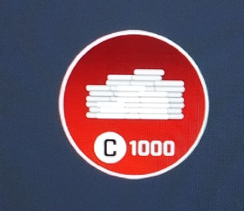 1000 loans