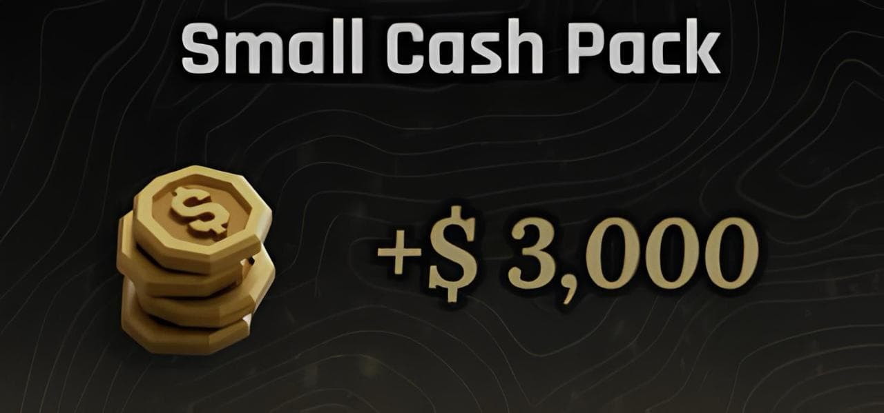 Small Cash Pack
