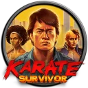 Karate Survivor — донат и игровая валюта