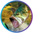 SEGA Bass Fishing — донат и игровая валюта