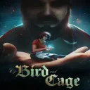 Of Bird and Cage — донат и игровая валюта