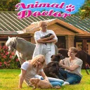 Animal Doctor — донат и игровая валюта