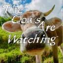 The Cows Are Watching — донат и игровая валюта