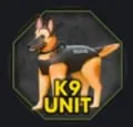 K9 Unit