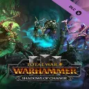 Shadows of Change