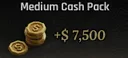 Medium Cash Pack