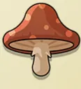 Enigmatic Mushroom