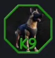 K 9