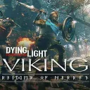 Viking Raider of Harran