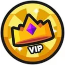 VIP