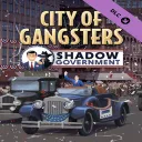 Shadow Government