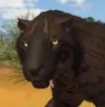 Umber Melanistic Saber Cat
