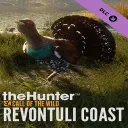 Revontuli Coast