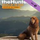 Essentials DLC Bundle