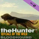 Bloodhound