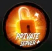 Private server+