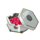 1980 Rose Orbs (Google)