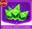 Essentials Agility Stones I